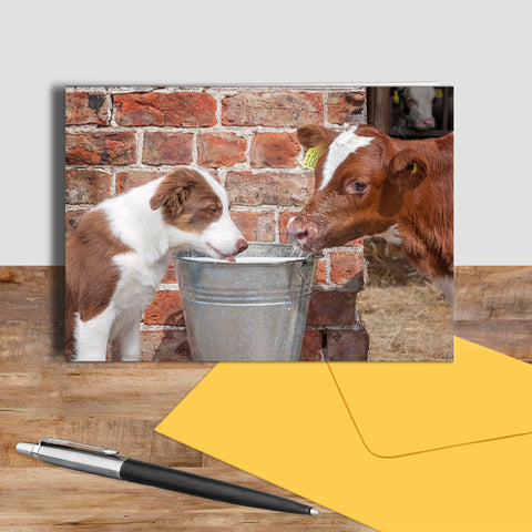 Red Collie and calf greetings card - Sharing is Caring - Kitchy & Co card