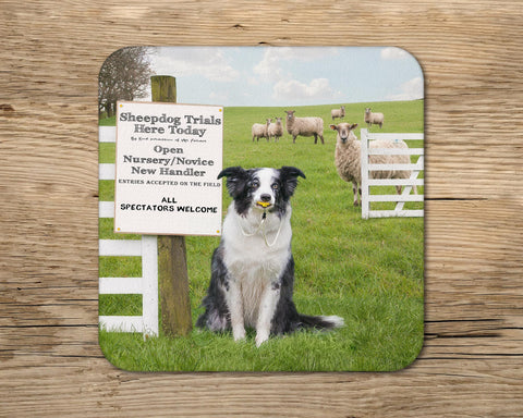 Sheepdog Trial drinks Coaster - Kitchy & Co glass coaster