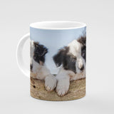 Border Collie Pups Mug - Just Hanging Out - Kitchy & Co Mugs