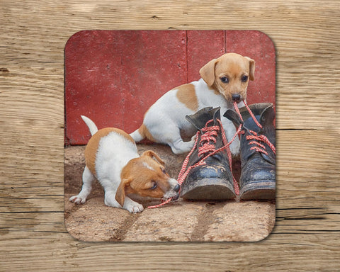 Jack russell puppies drinks Coaster - New laces for old boots - Kitchy & Co glass coaster