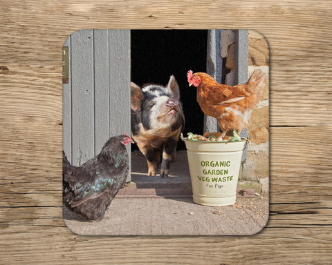 Pig and hens drinks Coaster - Bertie shares his lunch - Kitchy & Co glass coaster
