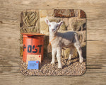Lamb drinks Coaster - Kitchy & Co glass coaster
