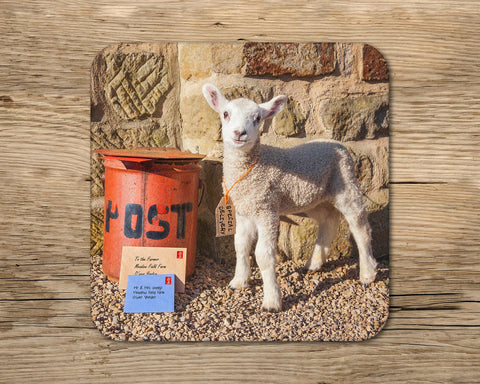 Lamb drinks Coaster - Kitchy & Co glass coaster