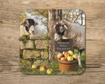Swaledale Sheep Mug - Scrumping Apples - Kitchy & Co 10oz Mug with Matching Coaster Mugs