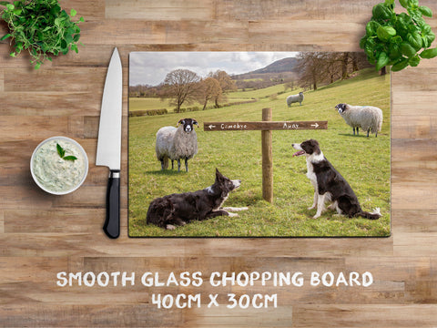 glass chopping board with border collies