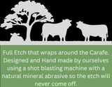 Carafe - Beef Cattle