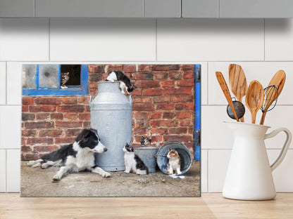 Cats and Collie glass chopping board - The Cats that got the cream