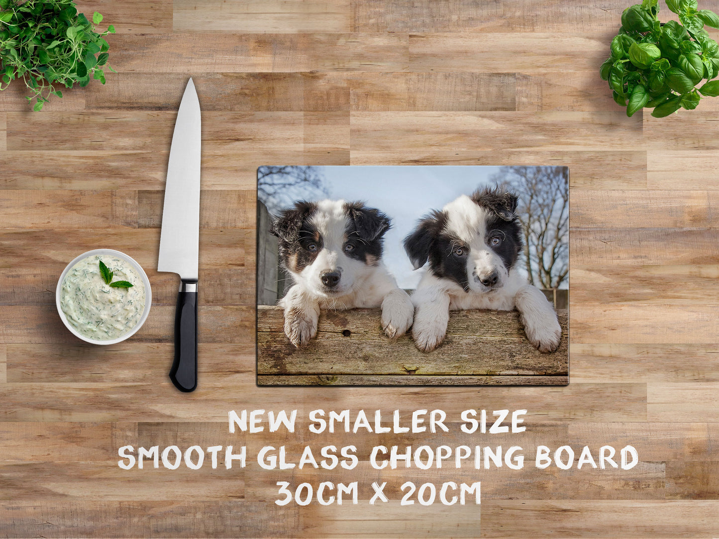 Border Collie Puppies glass chopping board - Just Hanging Out