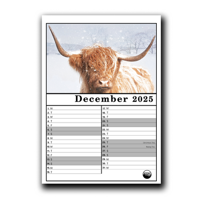 2025 Calendar