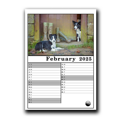 2025 Calendar