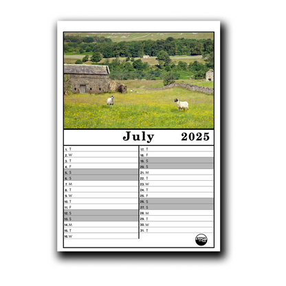 2025 Calendar