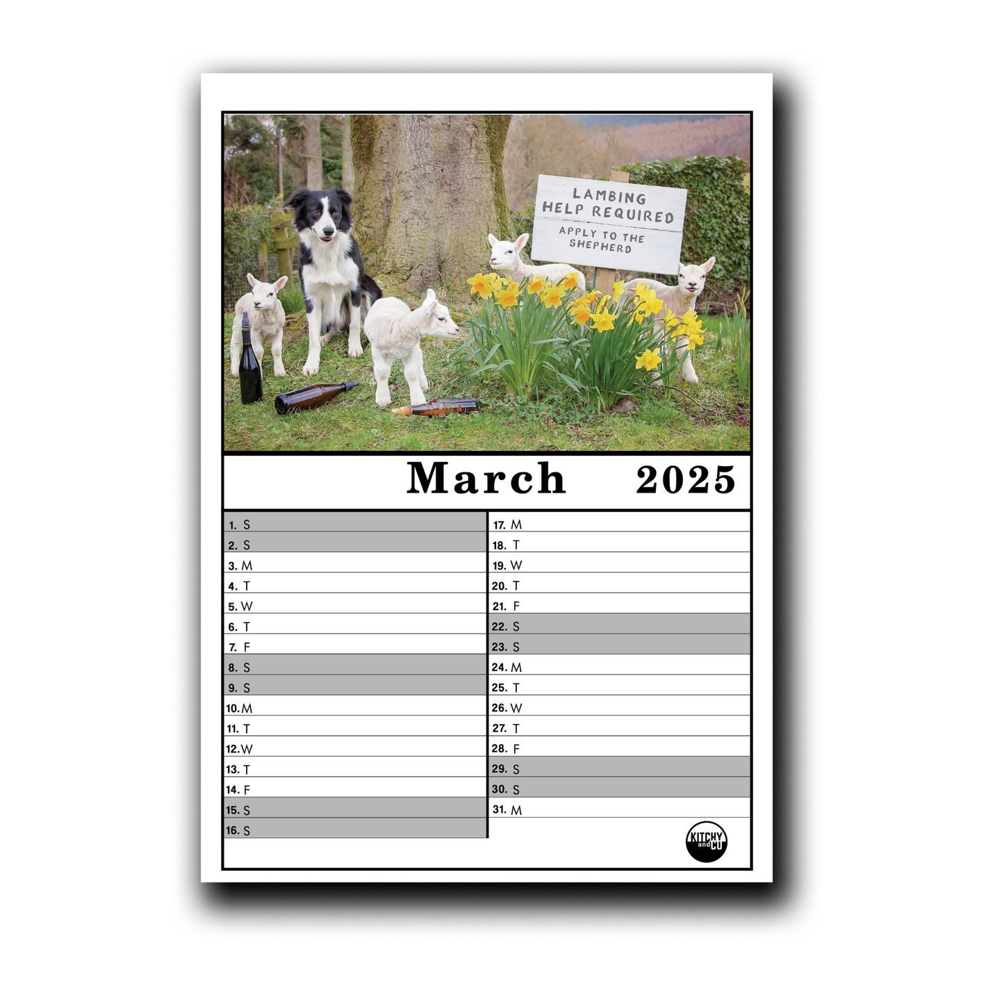 2025 Calendar