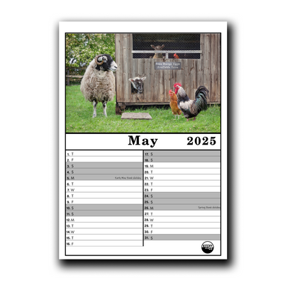 2025 Calendar