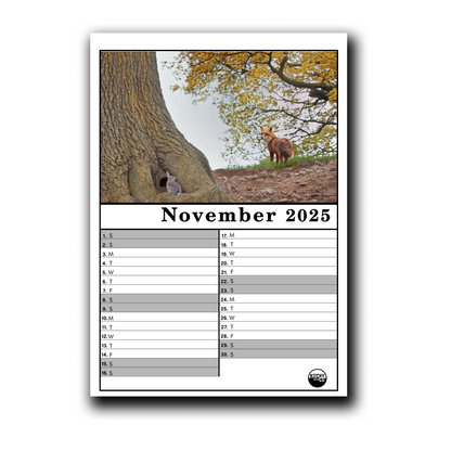 2025 Calendar