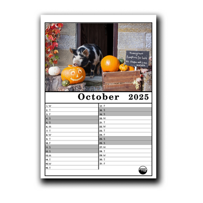 2025 Calendar