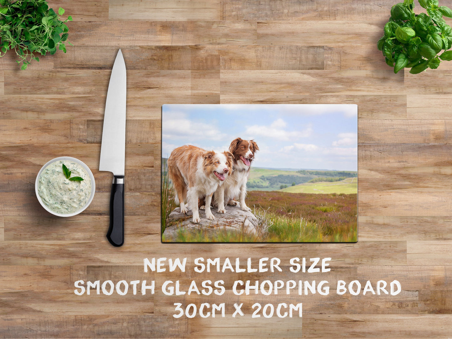 Red Merle Collie glass chopping board - Ready to Rock