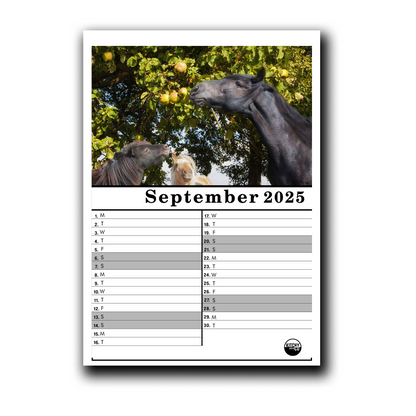 2025 Calendar