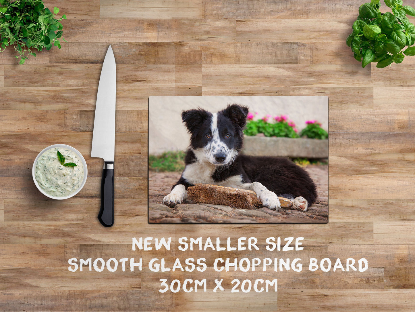 Border Collie Pup glass chopping board - The Apprentice