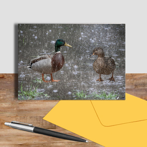Ducks greetings card - Nice day for Ducks - Kitchy & Co