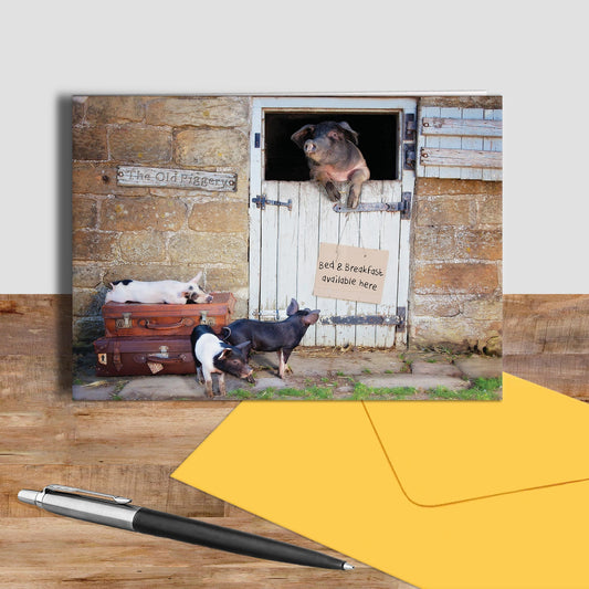 pig greetings card - Bed and Breakfast - Kitchy & Co