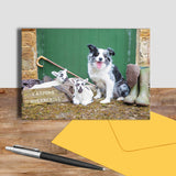 Blue merle border collie and lambs greetings card - Farming Bits and Bobs - Kitchy & Co