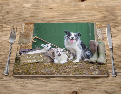 Blue Merle Collie Placemat - Farming Bits and Bobs - Kitchy & Co Placemat