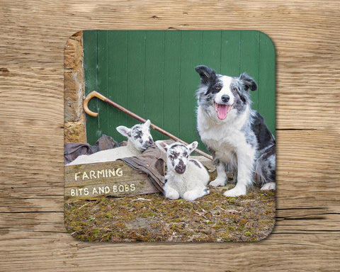 Blue merle border collie drinks Coaster - Farming Bits and Bobs - Kitchy & Co glass coaster