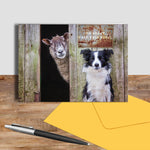 Border Collie and sheep greetings card - Look Out ! She's behind Ewe - Kitchy & Co