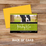 Border Collie greetings card - Look into my Eyes - Kitchy & Co