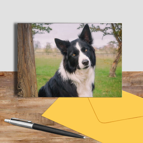 Border Collie greetings card - Look into my Eyes - Kitchy & Co