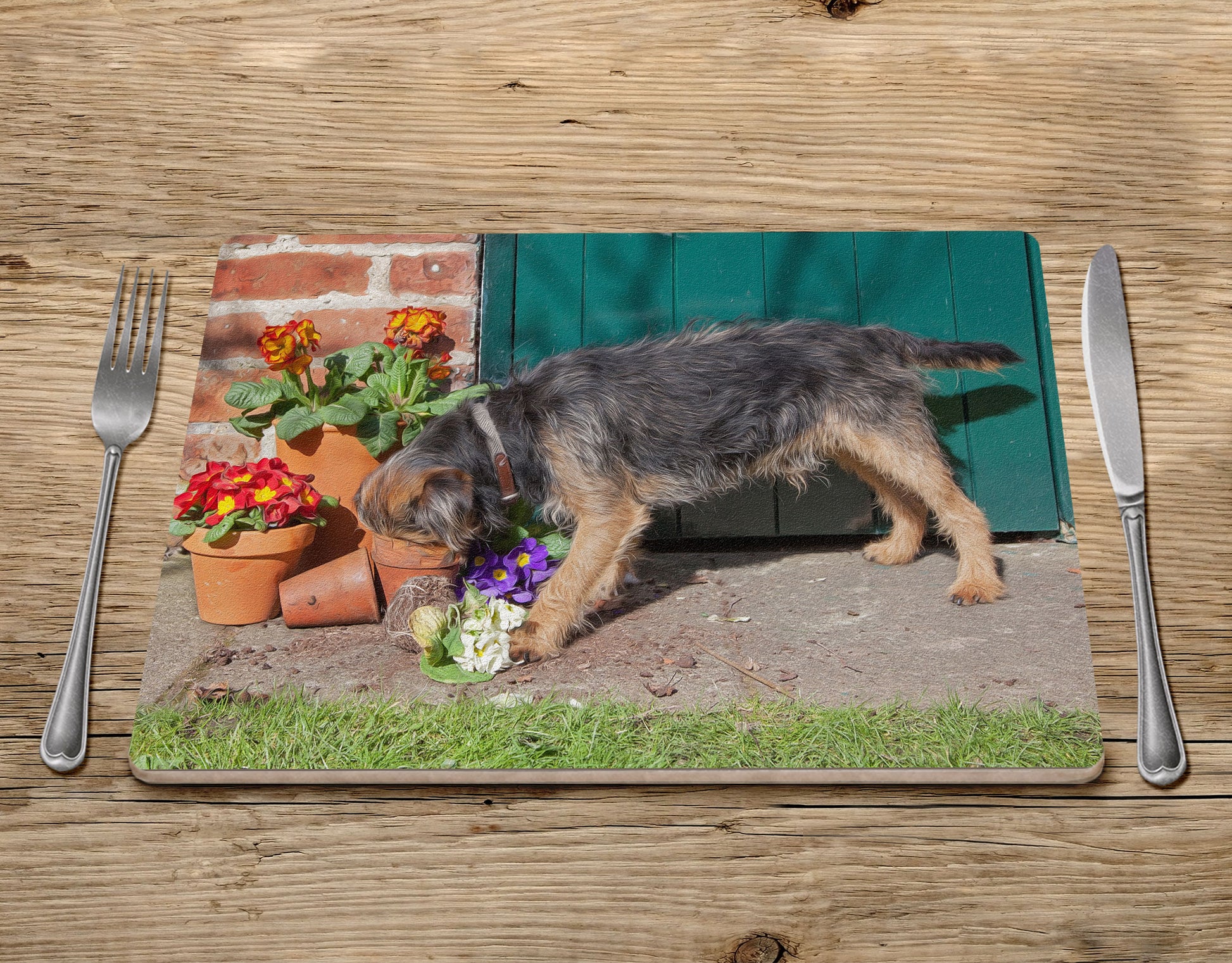 Border Terrier Placemat - Mouse Hunting - Kitchy & Co Placemat