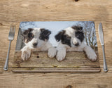 Border Collie Puppies Placemat - Just Hanging Out - Kitchy & Co Placemat