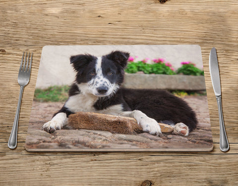 Border Collie Pup Placemat - The apprentice - Kitchy & Co Placemat