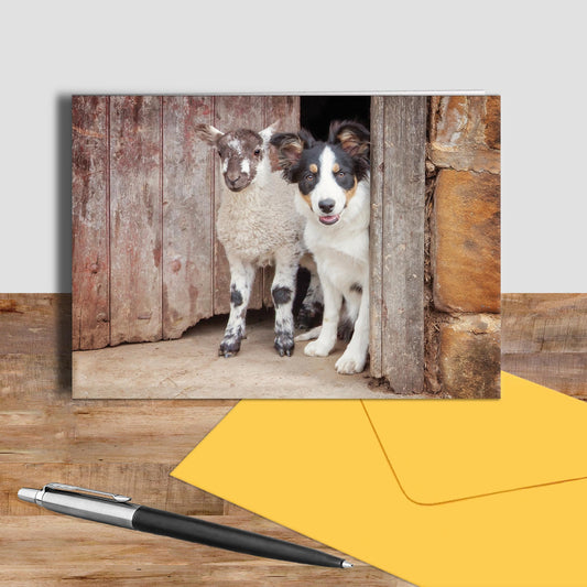 Tri Colour Border Collie greetings card - If your names not down - Kitchy & Co