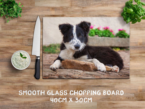 Border Collie Pup glass chopping board - The Apprentice - Kitchy & Co Chopping Board