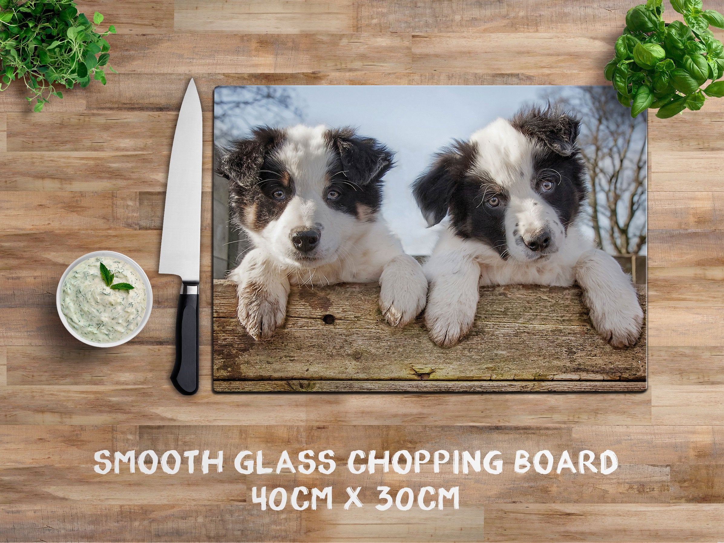 Border Collie Puppies glass chopping board Just Hanging Out