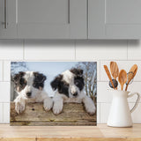 Border Collie Puppies glass chopping board - Just Hanging Out - Kitchy & Co Chopping Board