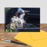 Sheepdog pup greetings card - Cooling Off - Kitchy & Co