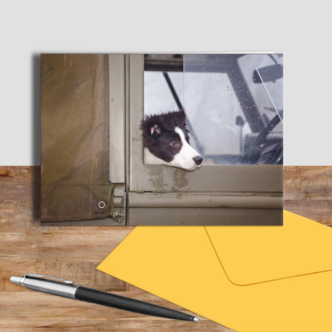 Border collie pup greetings card - Are we nearly there yet ? - Kitchy & Co