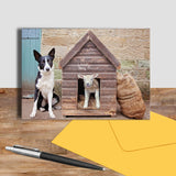 Border collie and lamb greetings card - Kitchy & Co
