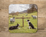 Sheepdog Mug - Ewe take the Left - Kitchy & Co 10oz Mug with Matching Coaster Mugs