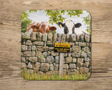 Cow Coaster - Farm watch - Kitchy & Co glass coaster