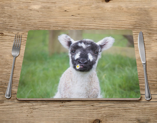 Cute Lamb Placemat - I think we'll call her Daisy - Kitchy & Co Placemat