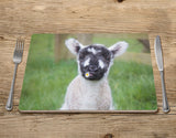 Cute Lamb Placemat - I think we'll call her Daisy - Kitchy & Co Placemat