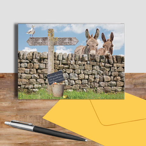 Donkey greetings card - Dandy and Buttercup - Kitchy & Co