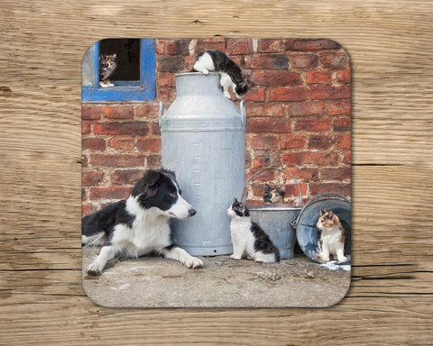 Border collie and Farm cats drinks Coaster - Cats that got the cream - Kitchy & Co glass coaster