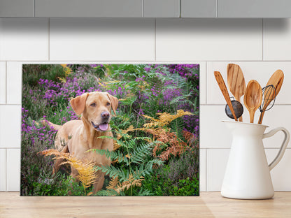 Fox Red Labrador Glass Chopping Board - First Flush of Colour - Kitchy & Co Chopping Board