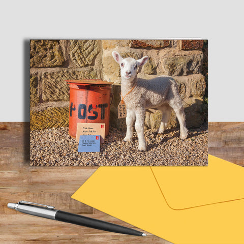 Lamb and postbox greetings card - Special delivery - Kitchy & Co