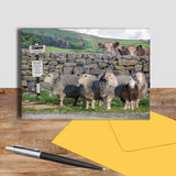 Herdwick sheep greetings card - Why walk when Ewe can take the bus - Kitchy & Co