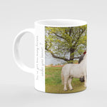 Shetland pony and Tractor Mug - Horse power - Kitchy & Co Mugs